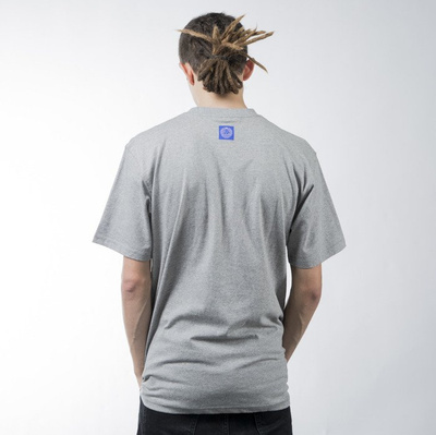 Mass Denim t-shirt koszulka Glassy light heather grey