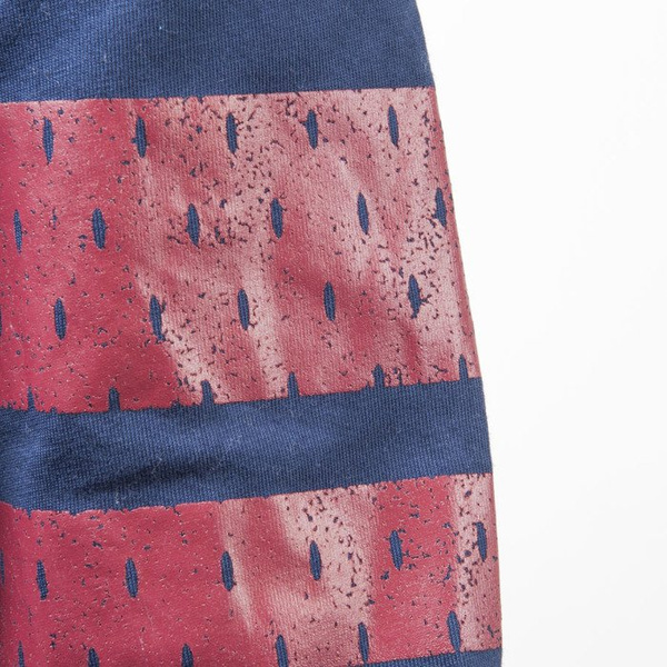 Mass Denim koszulka longsleeve Champion navy