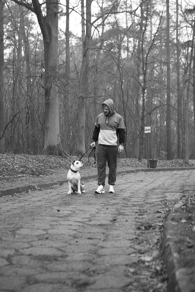 Mass DNM bluza Sweatshirt 98 Carat Hoody - szara