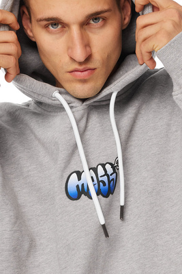 Mass DNM bluza Sweatshirt Wall Hoody szara